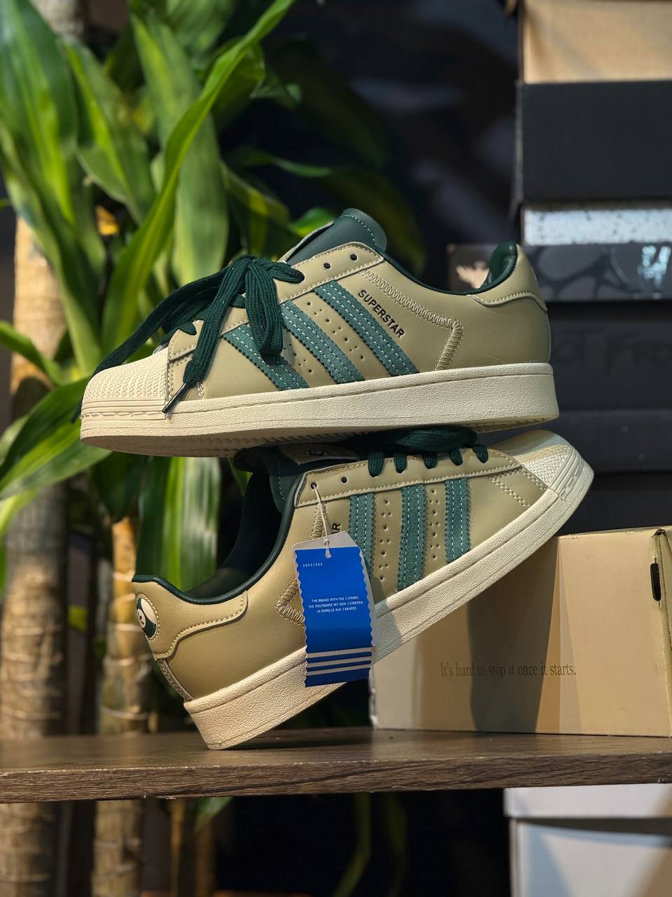 Adidas Superstar Verde Oliva & Beige – Web Monkey Shoes