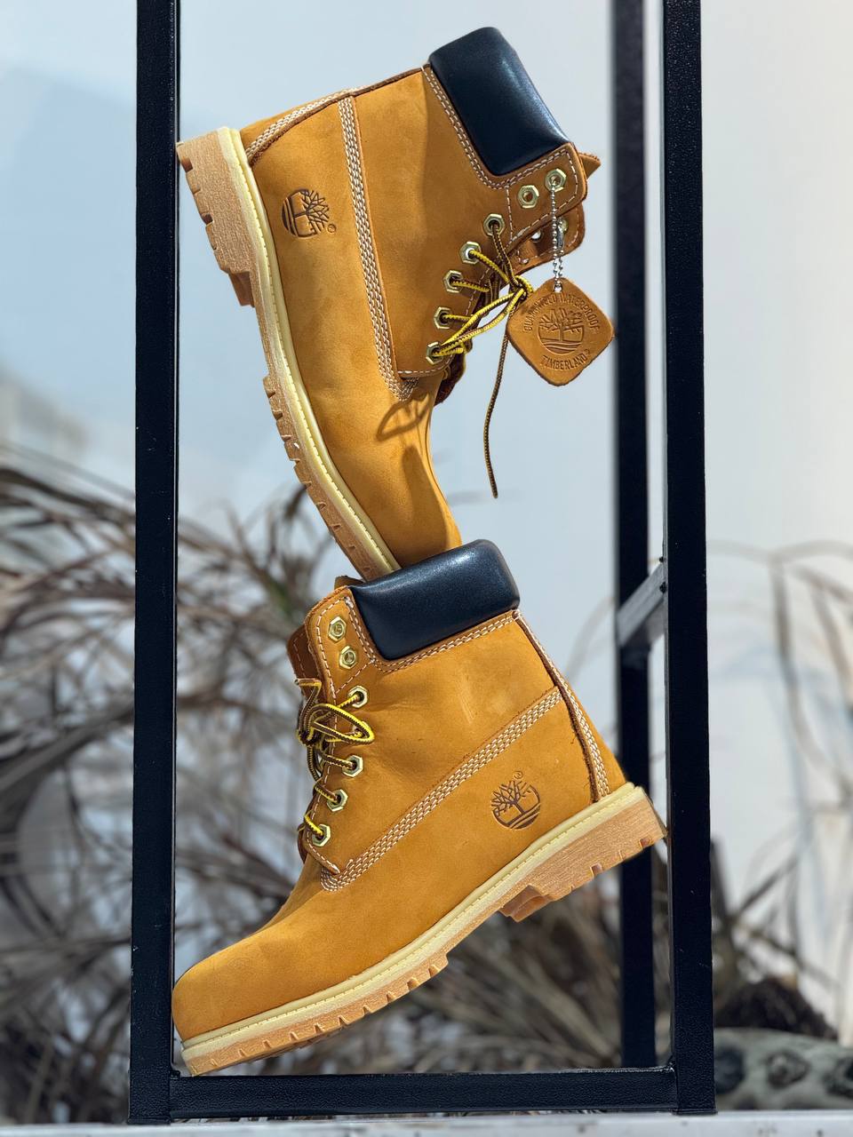 Botas Timberland Premium Color Trigo