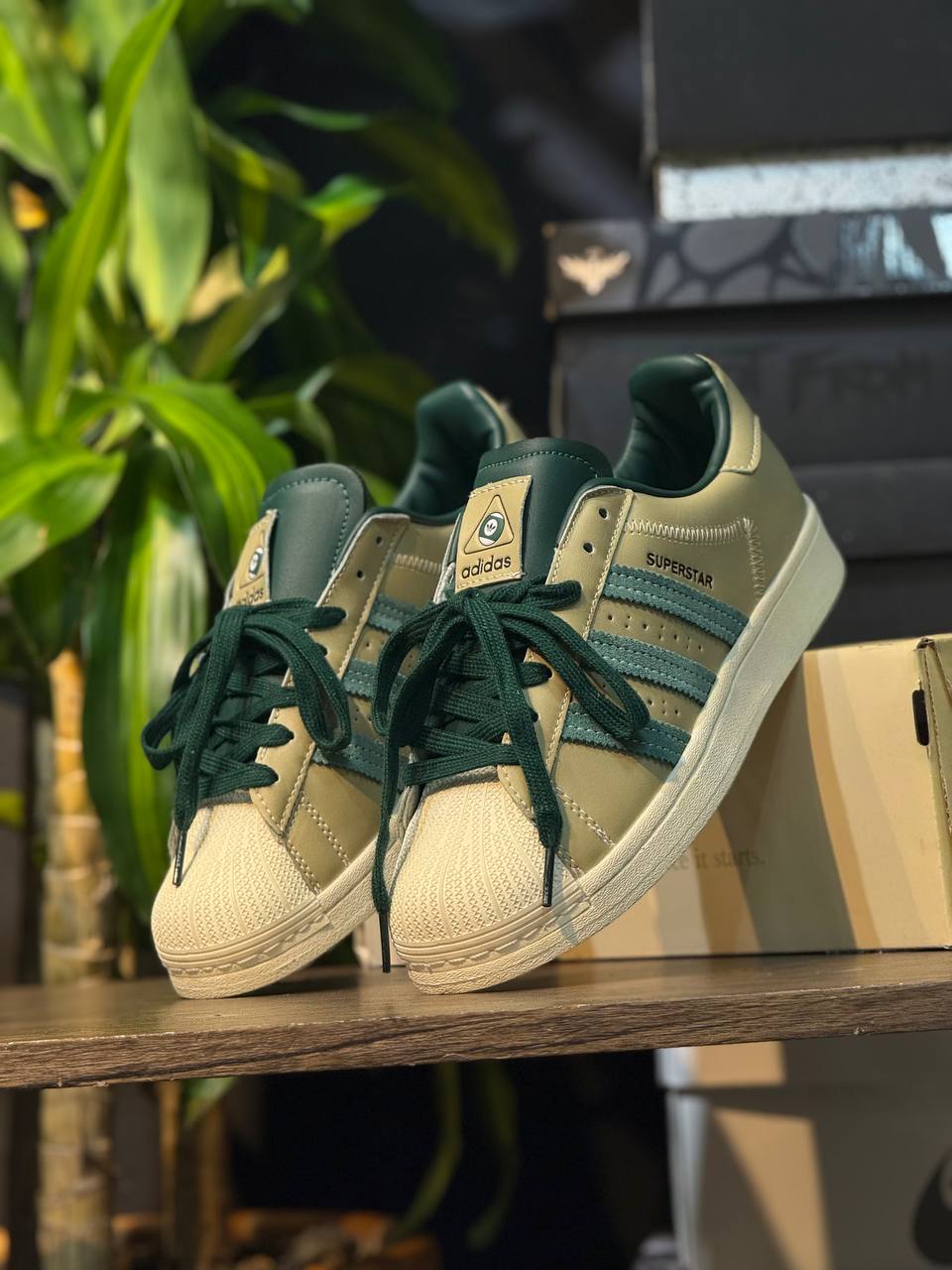Adidas Superstar Verde Oliva & Beige