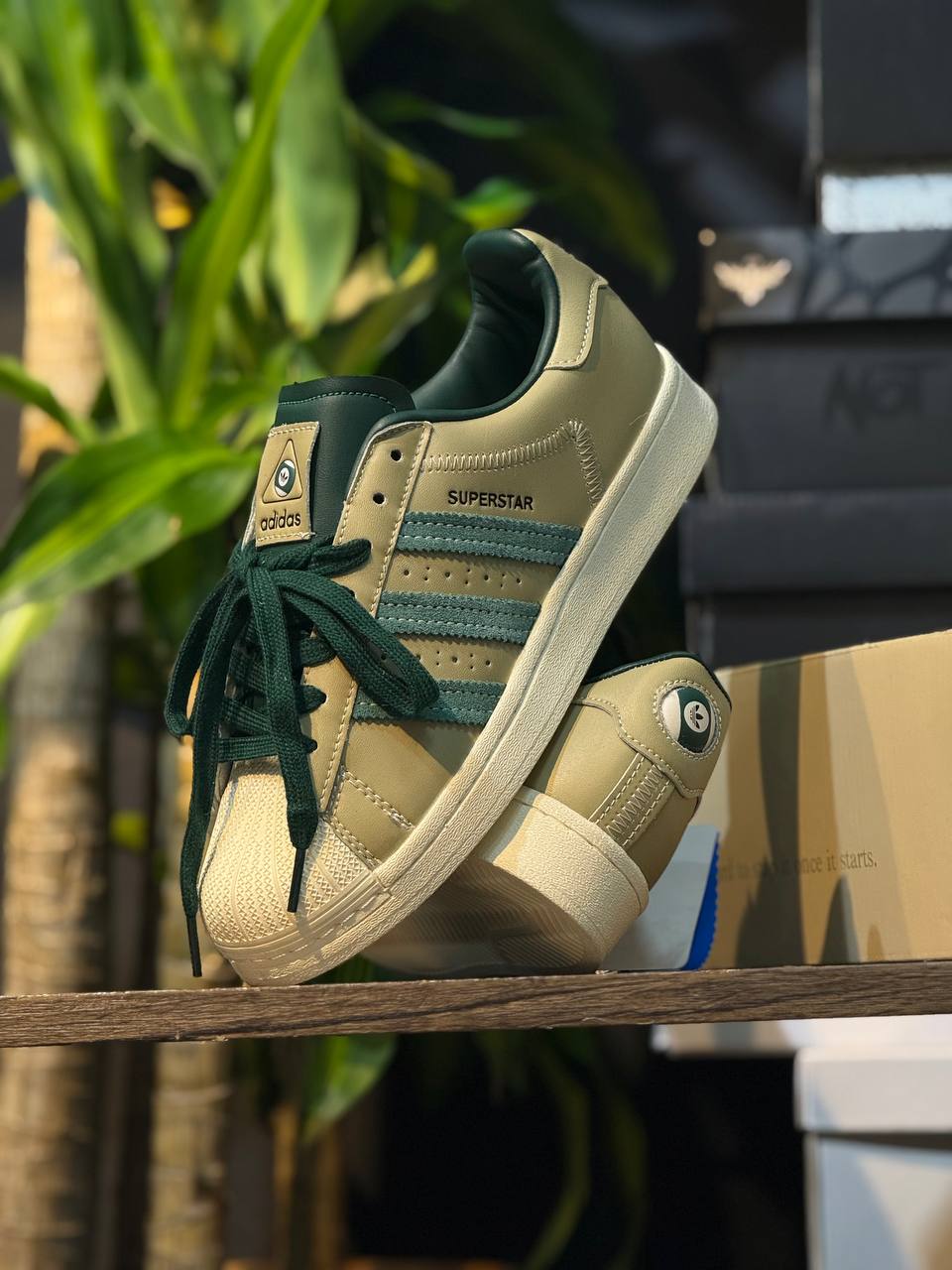 Adidas Superstar Verde Oliva & Beige