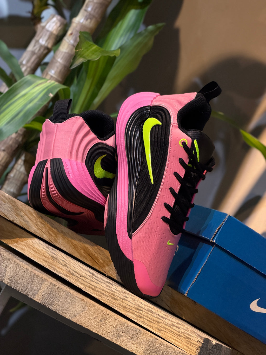 Nike Giannis Immortality 5 "Hyper Pink/Volt"