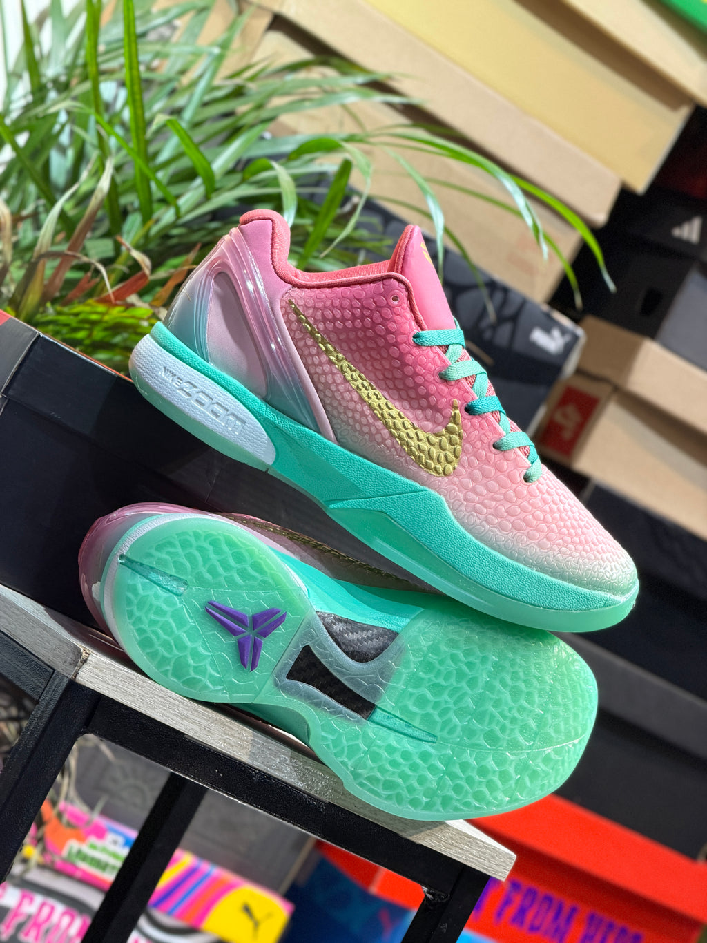 Nike Kobe 6 Protro "Venezia"