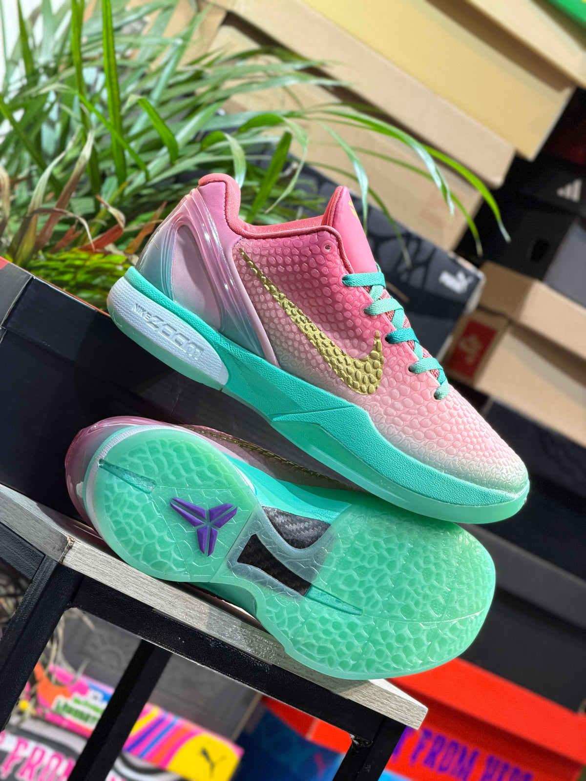 Nike Kobe 6 Protro "Venezia"