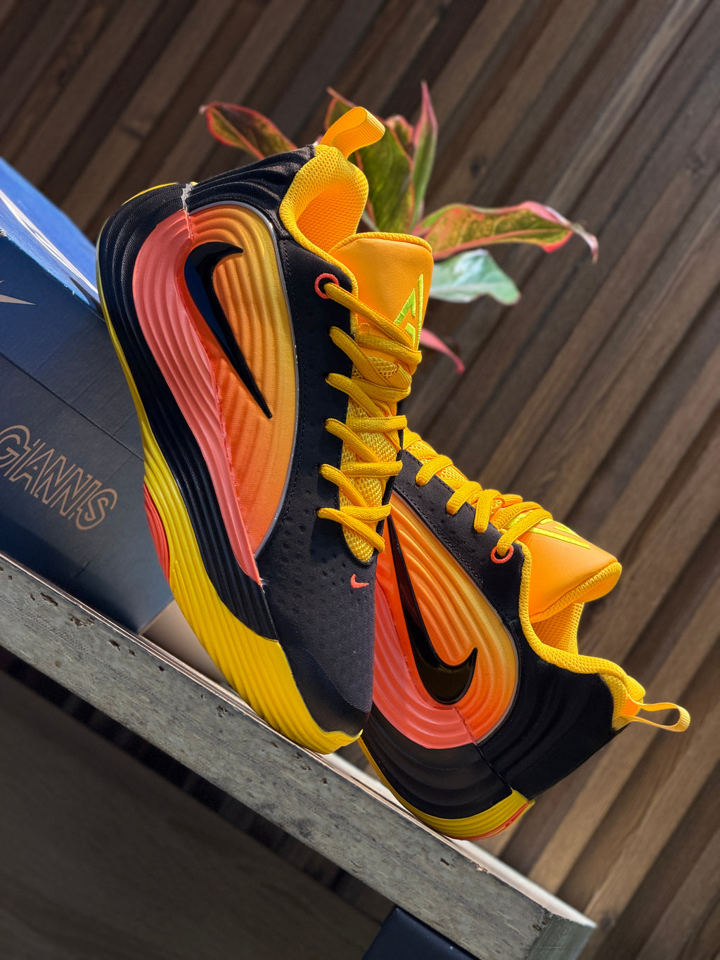 Nike Giannis Immortality 5 "Laser Crimson/Laser Orange/Black"