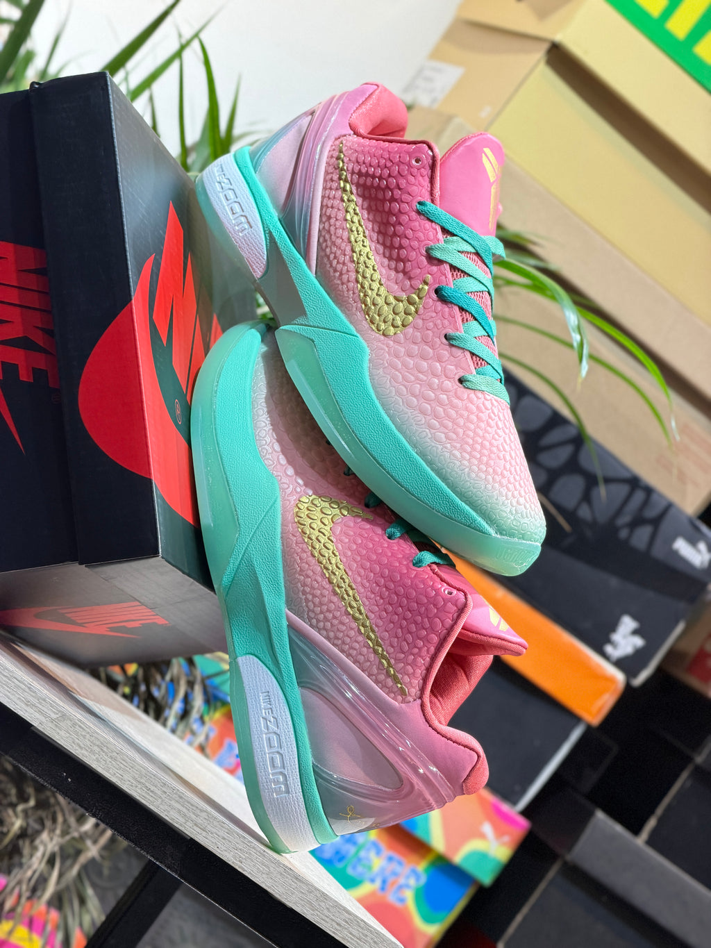 Nike Kobe 6 Protro "Venezia"