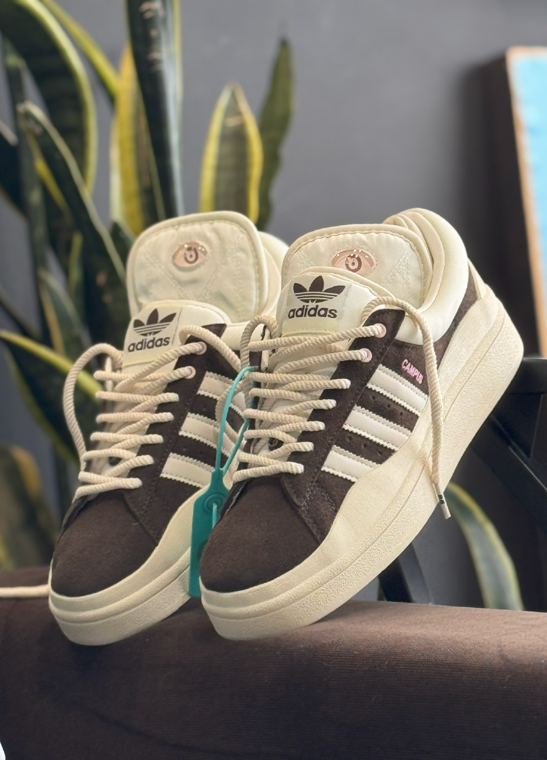 Adidas Campus Bad Bunny