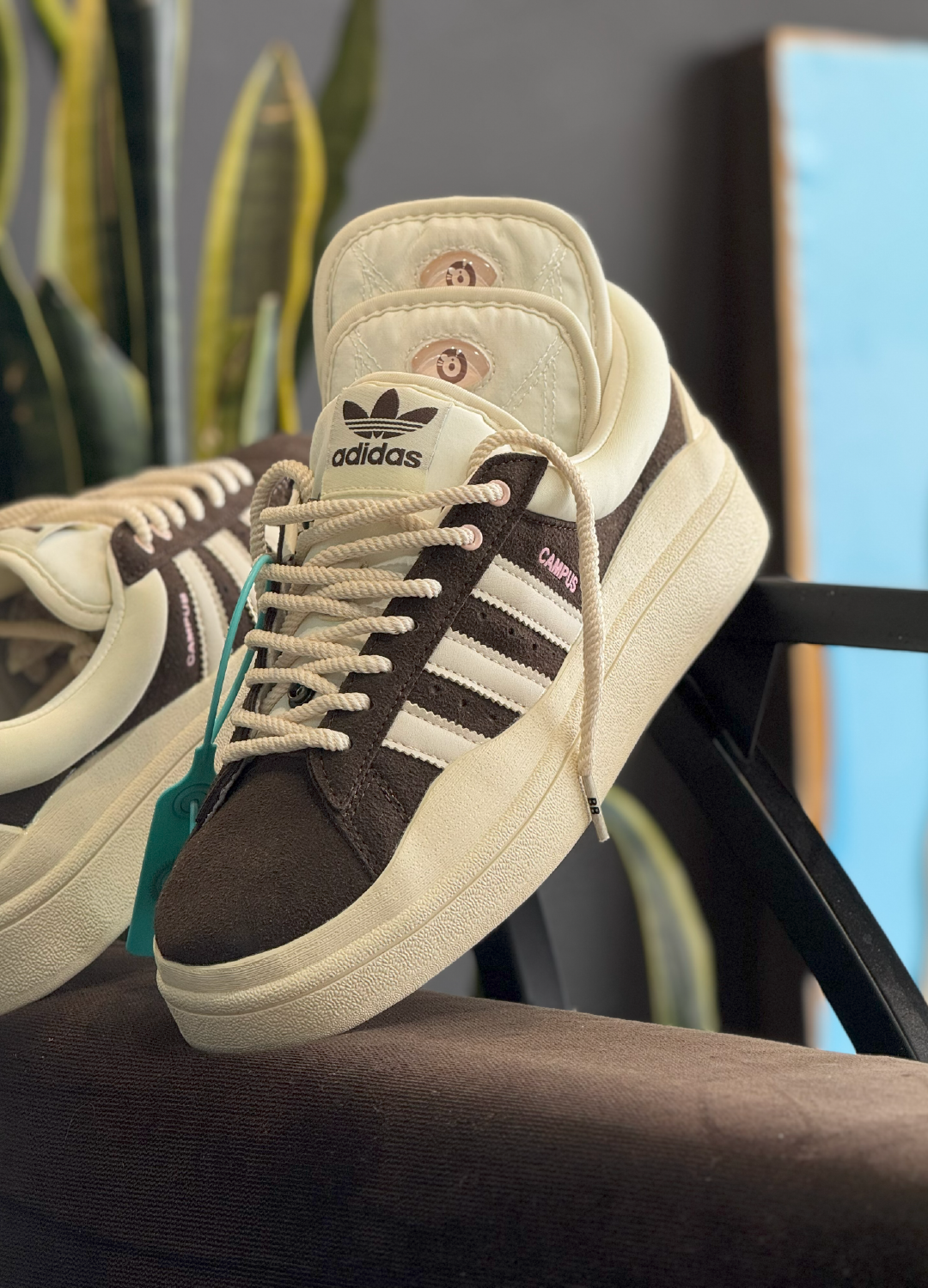 Adidas Campus Bad Bunny Web Monkey Shoes Adidas Campus Bad Bunny Web Monkey Shoes