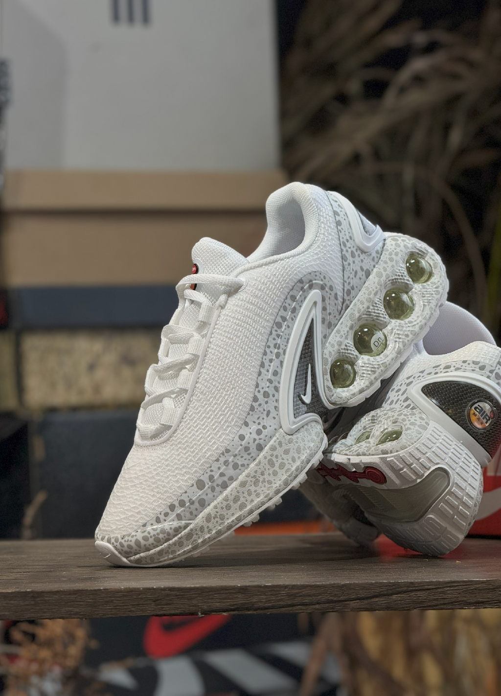 DN Safari White