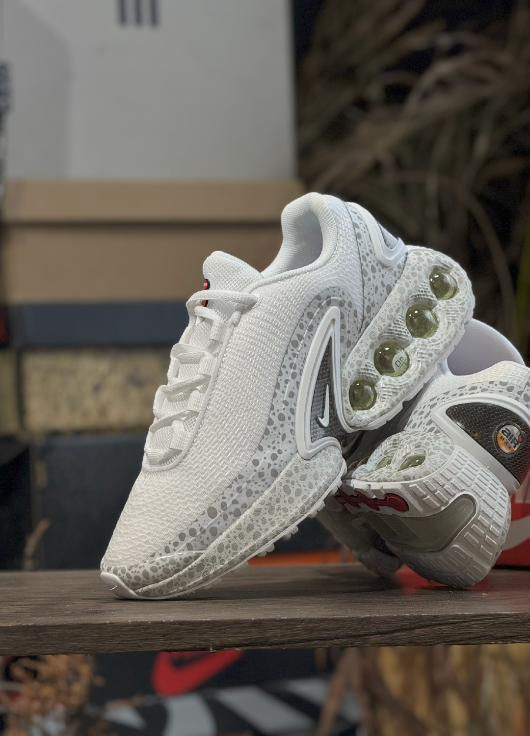 DN Safari White