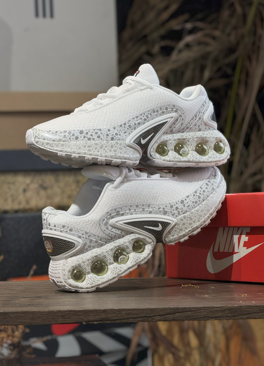 DN Safari White