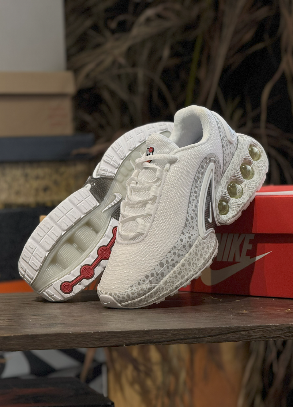 DN Safari White